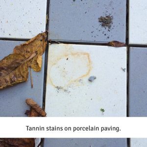 Tannin stains on porcelain paving