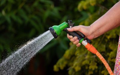 HOW TO CLEAN A PATIO WHEN THERE’S A HOSEPIPE BAN